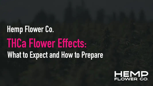 THCa Flower Effects: What to Expect and How to Prepare