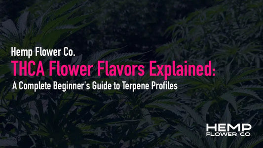 THCA Flower Flavors Explained