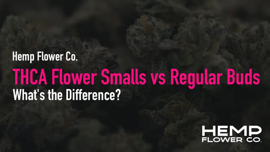 THCA Flower Smalls vs Regular Buds: What’s the Difference?