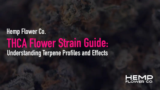 Learn everything about THCA flower terpenes in this comprehensive strain guide. Discover how myrcene, limonene, caryophyllene, and other terpenes shape effects.