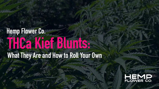 Learn what THCa kief blunts are, why they hit harder than standard flower blunts, and how to roll your own step-by-step.