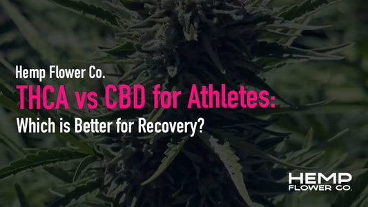 THCA vs CBD for Athletes: