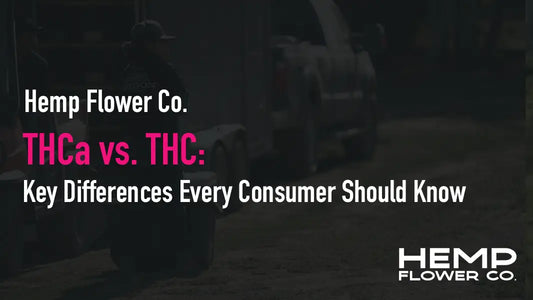 THCa vs. THC: Key Differences Every Consumer Should Know
