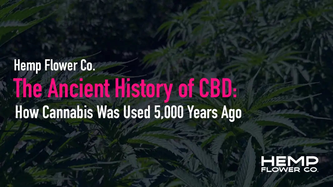 The History of Ancient Cannabis Medicine and its use – Hemp Flower Co.