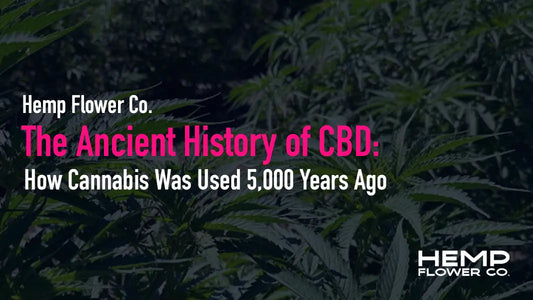 The Ancient History of CBD: