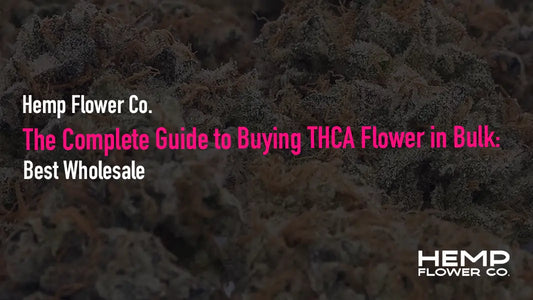 The Complete Guide to Buying THCA Flower in Bulk: