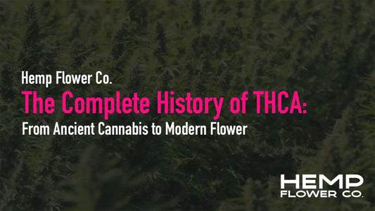 From Ancient Cannabis to Modern Flower