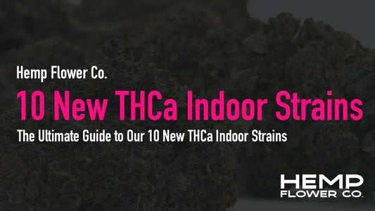 The Ultimate Guide to Our 10 New THCa Indoor Strains