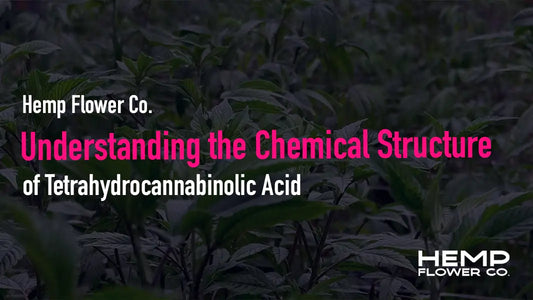 Understanding the Chemical Structure