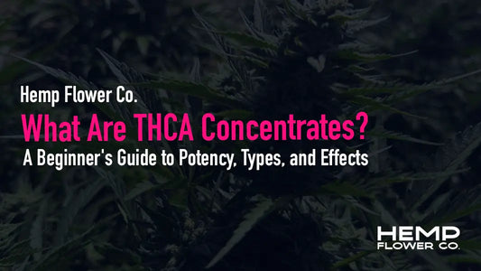 New to THCA concentrates? Learn what they are, how they differ from THC concentrates, the most popular types, and what to expect from potency and effects.