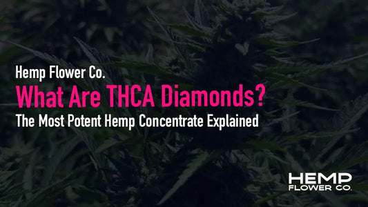 Discover what THCA diamonds are, how they're made, and why they're the most potent hemp concentrate available, THCA crystalline, effects, potency.
