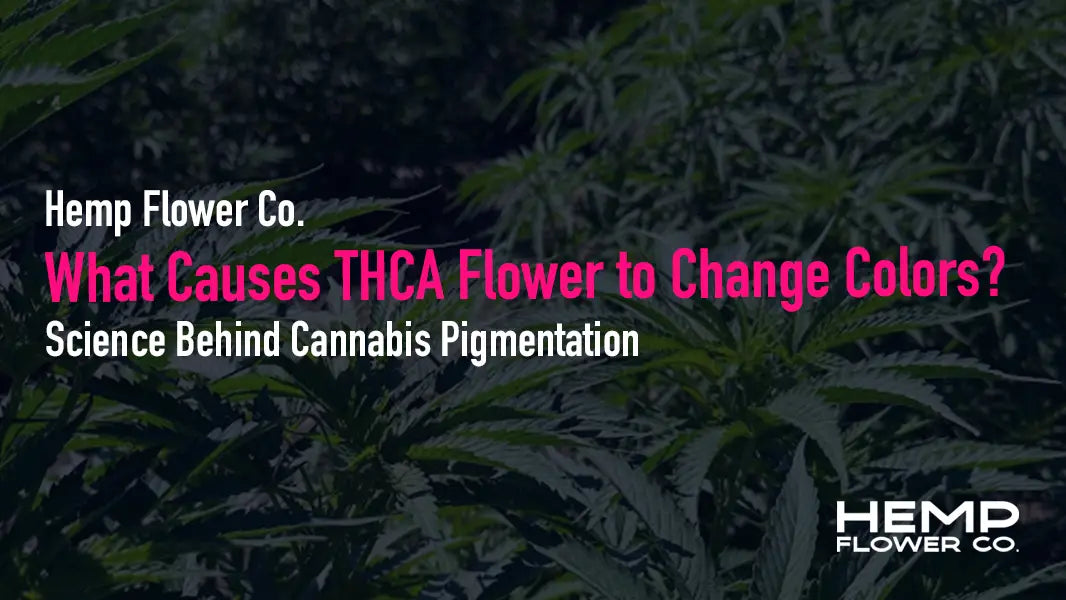 Science Behind Cannabis Pigmentation – Hemp Flower Co.