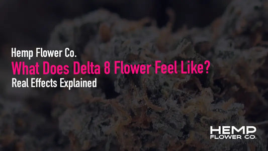 Wondering what delta 8 flower feels like? Get the most honest, detailed breakdown of real delta 8 effects — body high, mental clarity, anxiety profile and more.