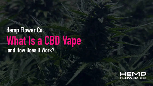 What a CBD vape is, how it works in the body, the different types of devices available, and why inhalation is one of the fastest ways to feel CBD's effects.