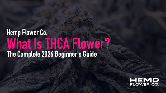 What is THCA flower? Complete 2026 beginner's guide breaks down the THCA cannabinoid, how it differs from THC, why it's legal, what to look for on lab reports,