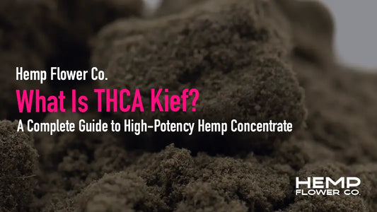 What Is THCA Kief?
