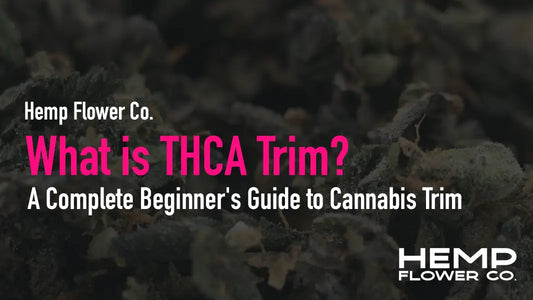 What is THCA Trim? A Complete Beginner's Guide to Cannabis Trim