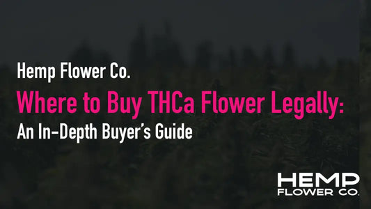 Where to Buy THCa Flower Legally: An In-Depth Buyer’s Guide