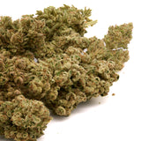 Apple Fritter THCa Hemp Flower Wholesale - Plants