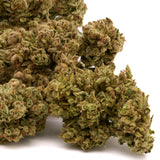 Apple Fritter THCa Hemp Flower Wholesale - Plants