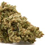 Apple Fritter THCa Hemp Flower Wholesale - Plants