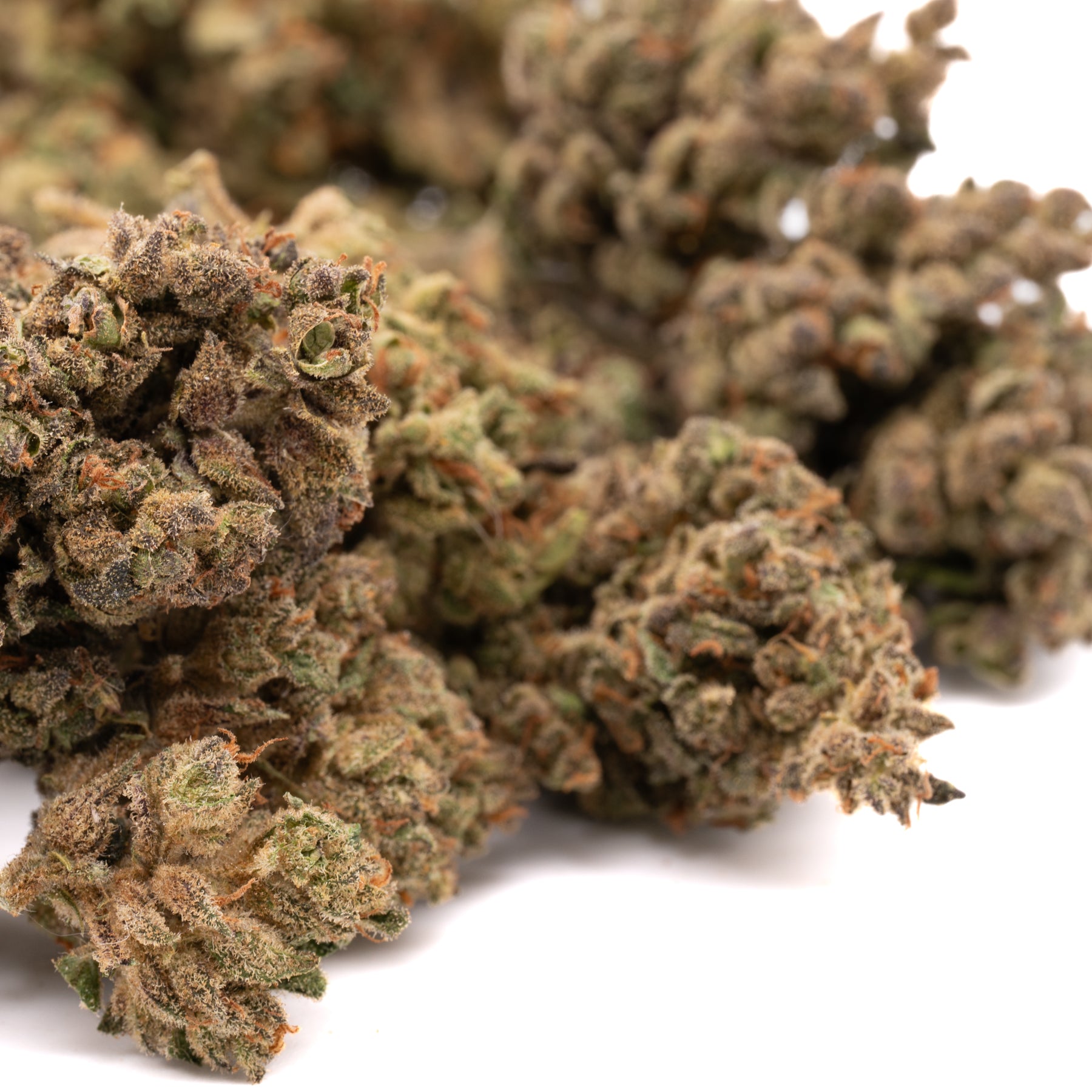 Apricot CBD hemp flower small buds with prominent trichomes and orange hairs