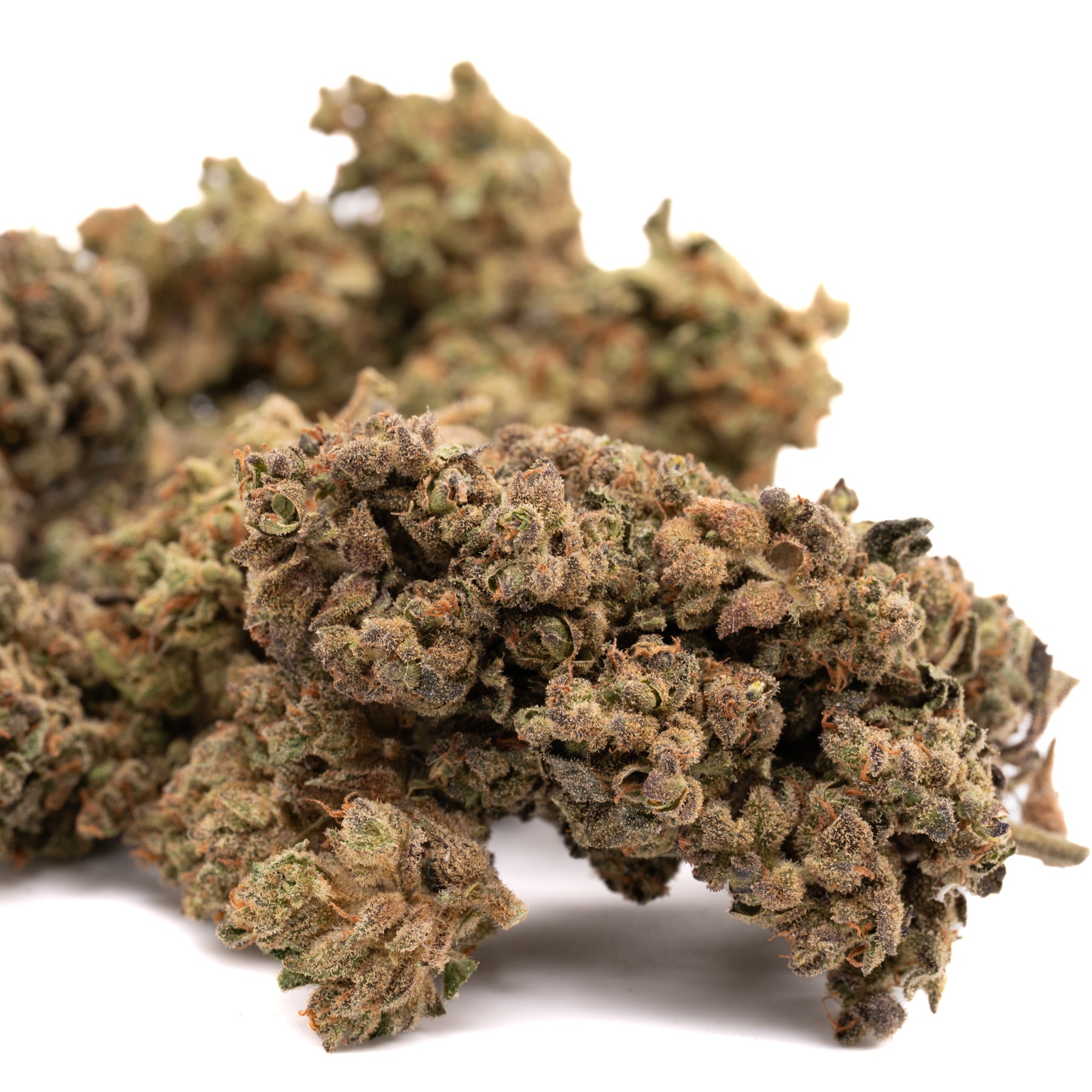 Dried CBD hemp flower with trichomes and orange hairs, Apricot CBD small buds