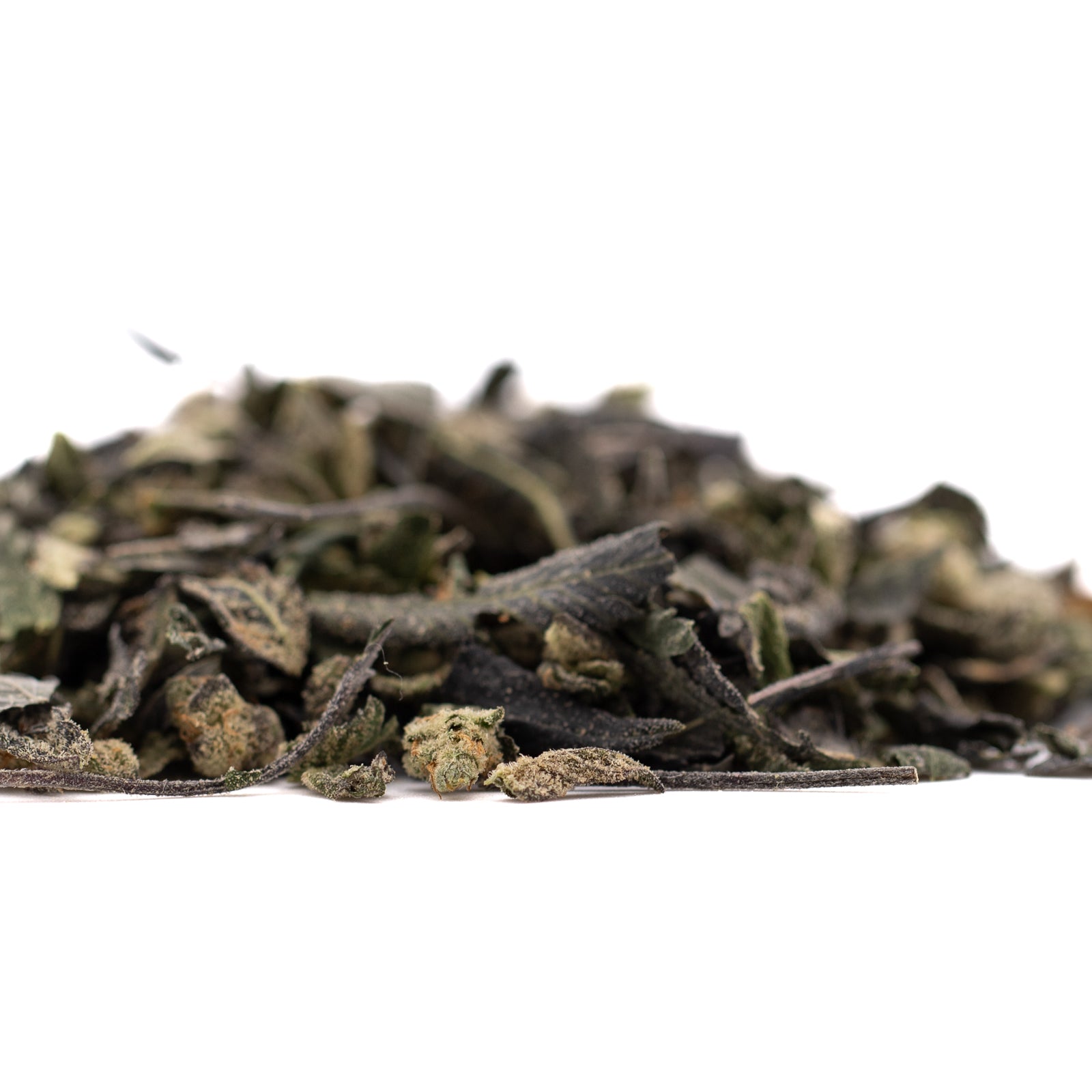 Dried green tea leaves for Astroboy Indoor Trim Wholesale 1LB, ideal for indoor THCA and euphoric head effects