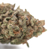 Bahama Bussdown THCa Hemp Flower Greenhouse