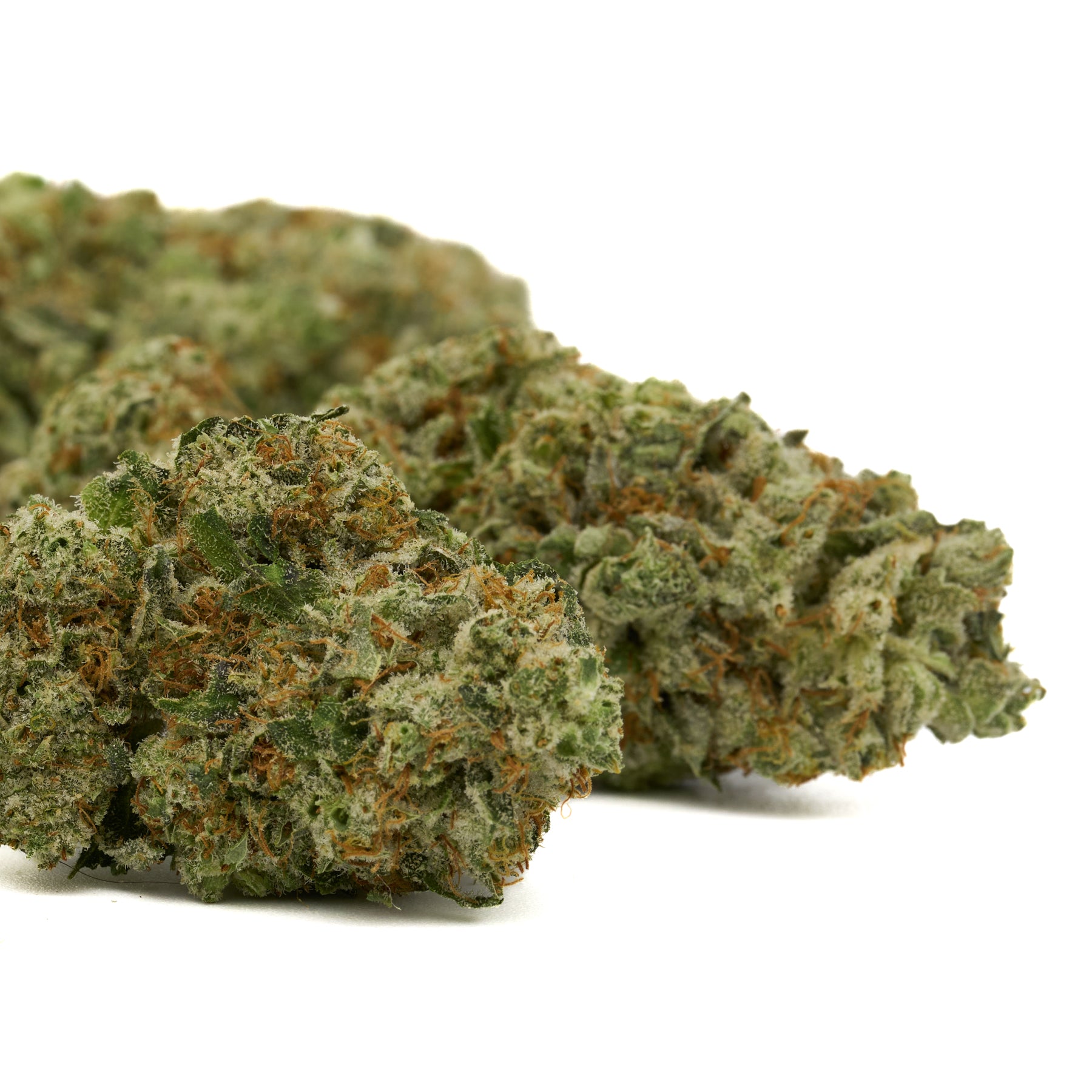 Dried Black Cherry THCA Flower with Trichomes and Orange Hairs, Indoor Diamonds