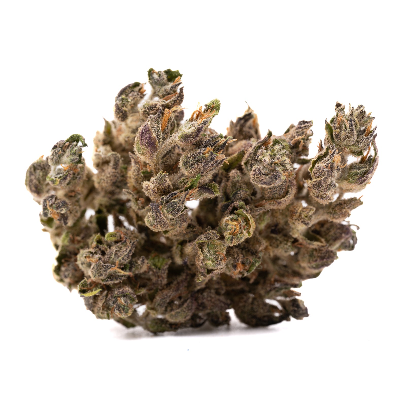 Blues CBD Hemp Flower - Plants