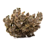 Blues CBD Hemp Flower - Plants