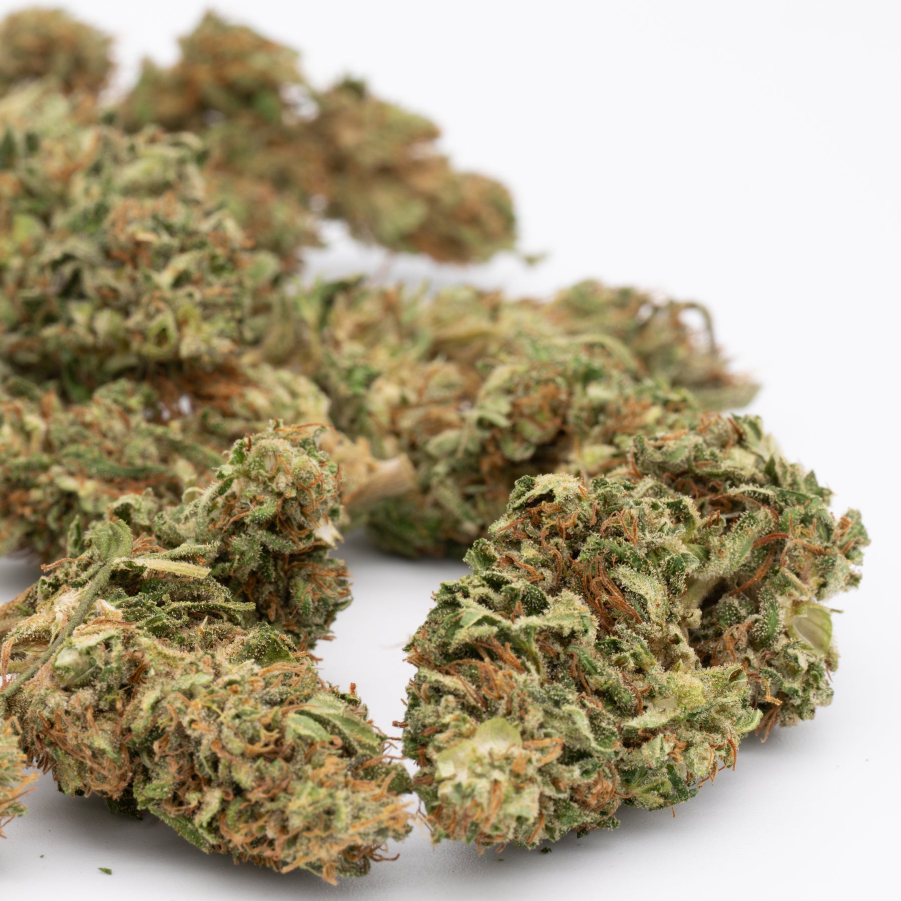 Dried Bubble Gum CBD Hemp Flower Full-Term buds for premium CBD hemp flower products