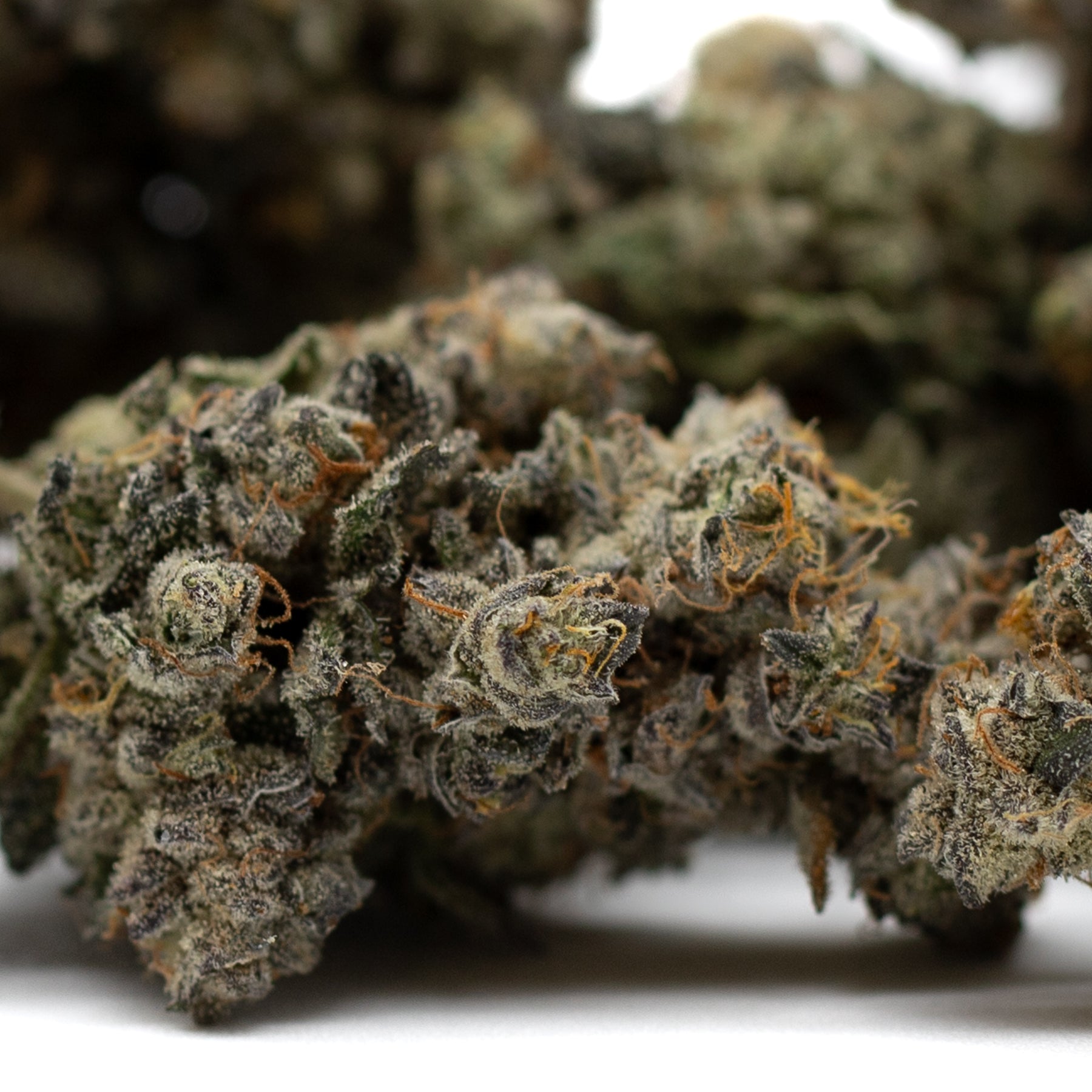 Close-up of Butter OG Indoor THCa Flower with orange hairs and frosty trichomes, best THCA flower