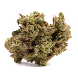 CBG Hemp Flower Smalls - Plants