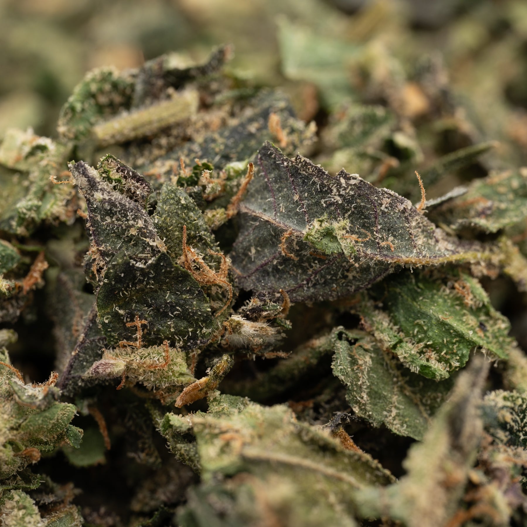 Close-up of chopped Cadillac Rainbow THCa indoor trim wholesale 1LB for sale