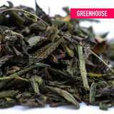 Cali Burger Greenhouse THCa Trim Wholesale