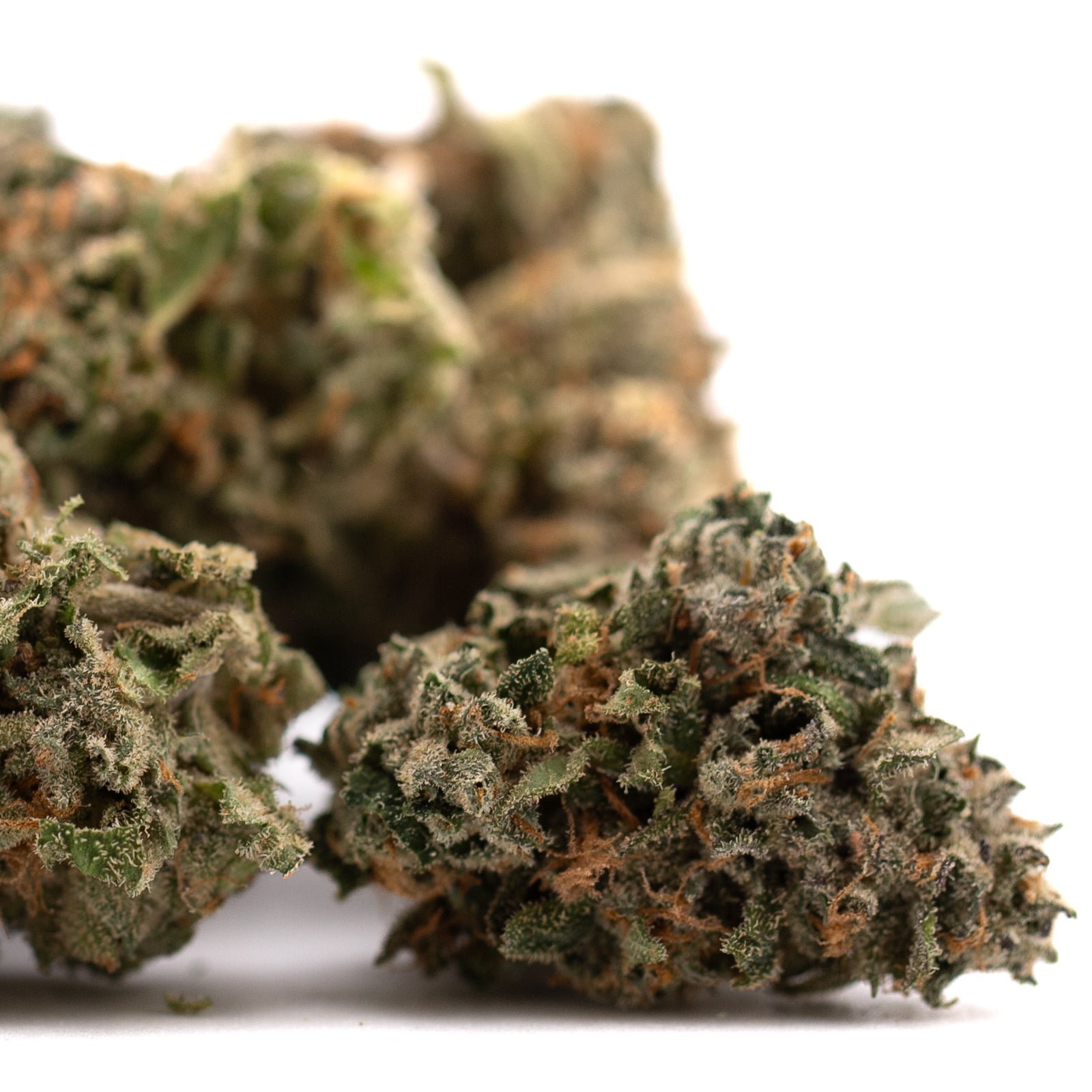 Canal Street Runtz THCa Flower with cannabis buds, green leaves, orange hairs, frosty trichomes for explosive cerebral effects