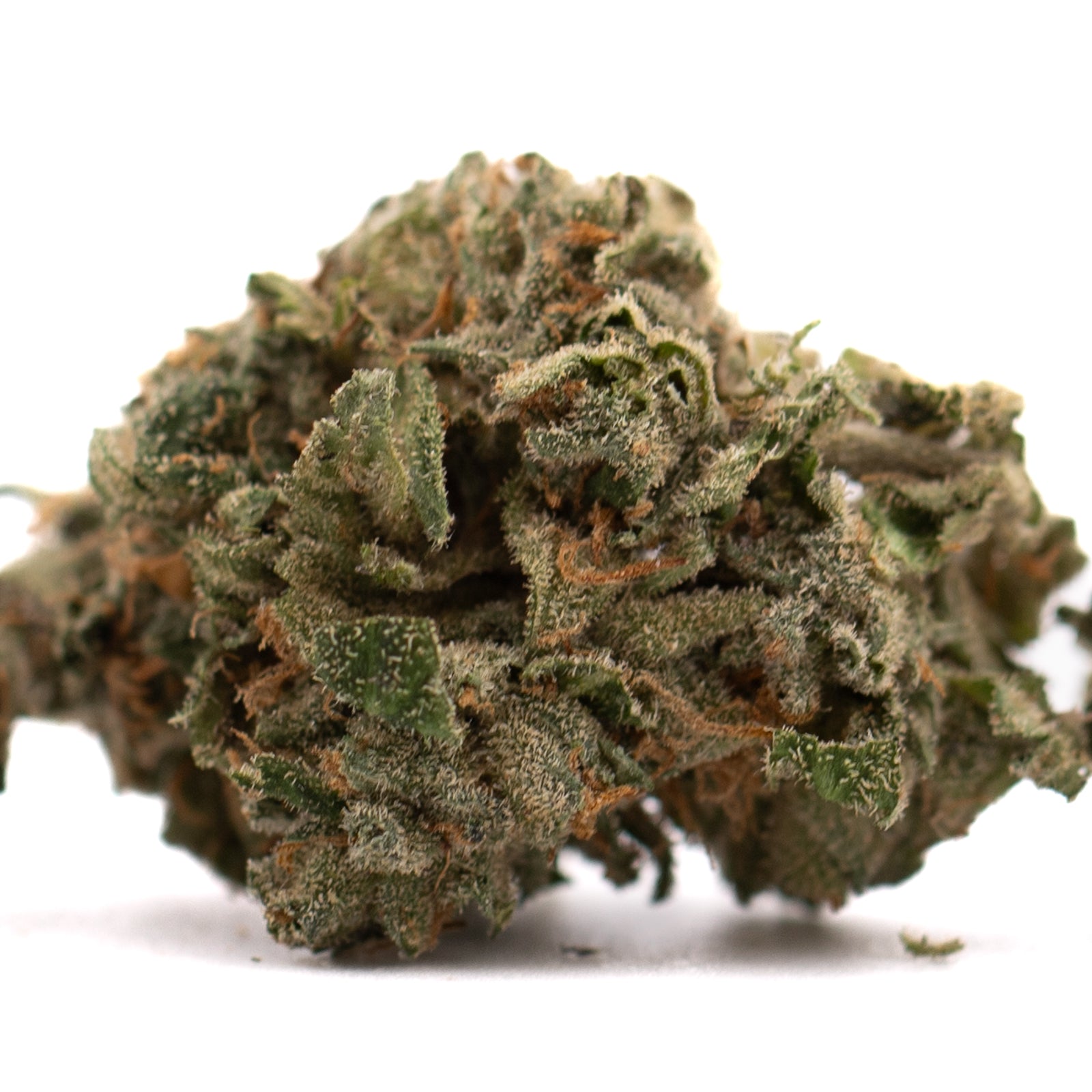 Canal Street Runtz THCA Flower with dense trichome-covered cannabis bud and orange hairs