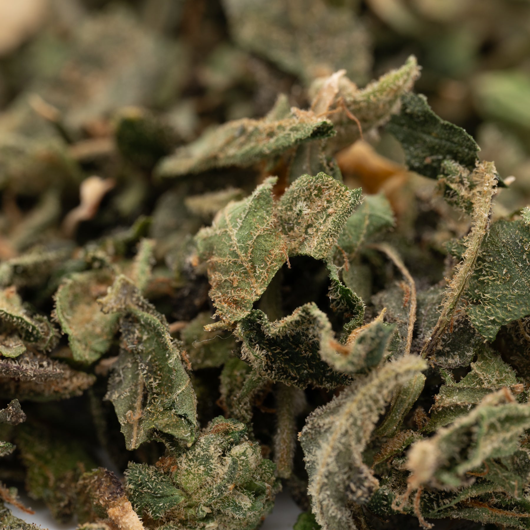 Dried green herbs from Candy Mac THCa Indoor Trim Wholesale 1LB for premium use