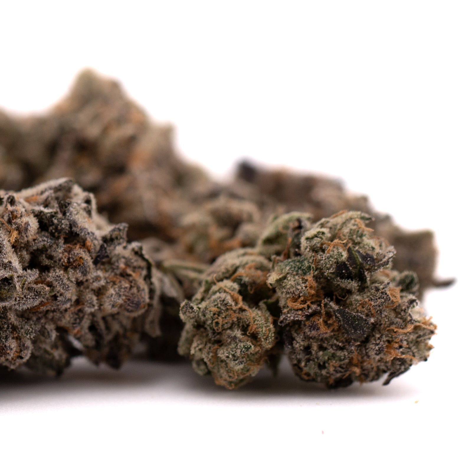 Cherry Pie THCa Indoor Flower with orange hairs and frosty trichomes for orchard swirl sedation