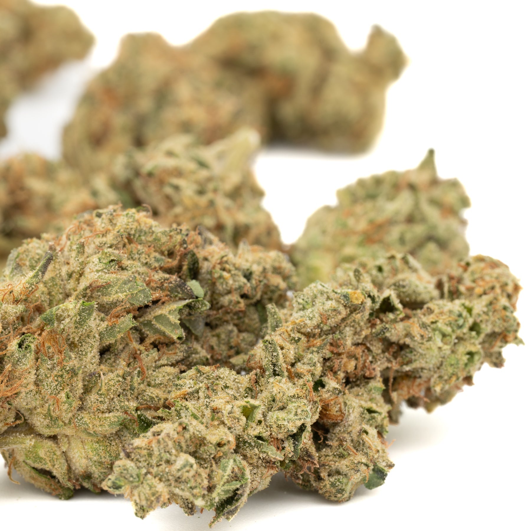 Duct Tape THCa Hemp Flower Greenhouse - Plants