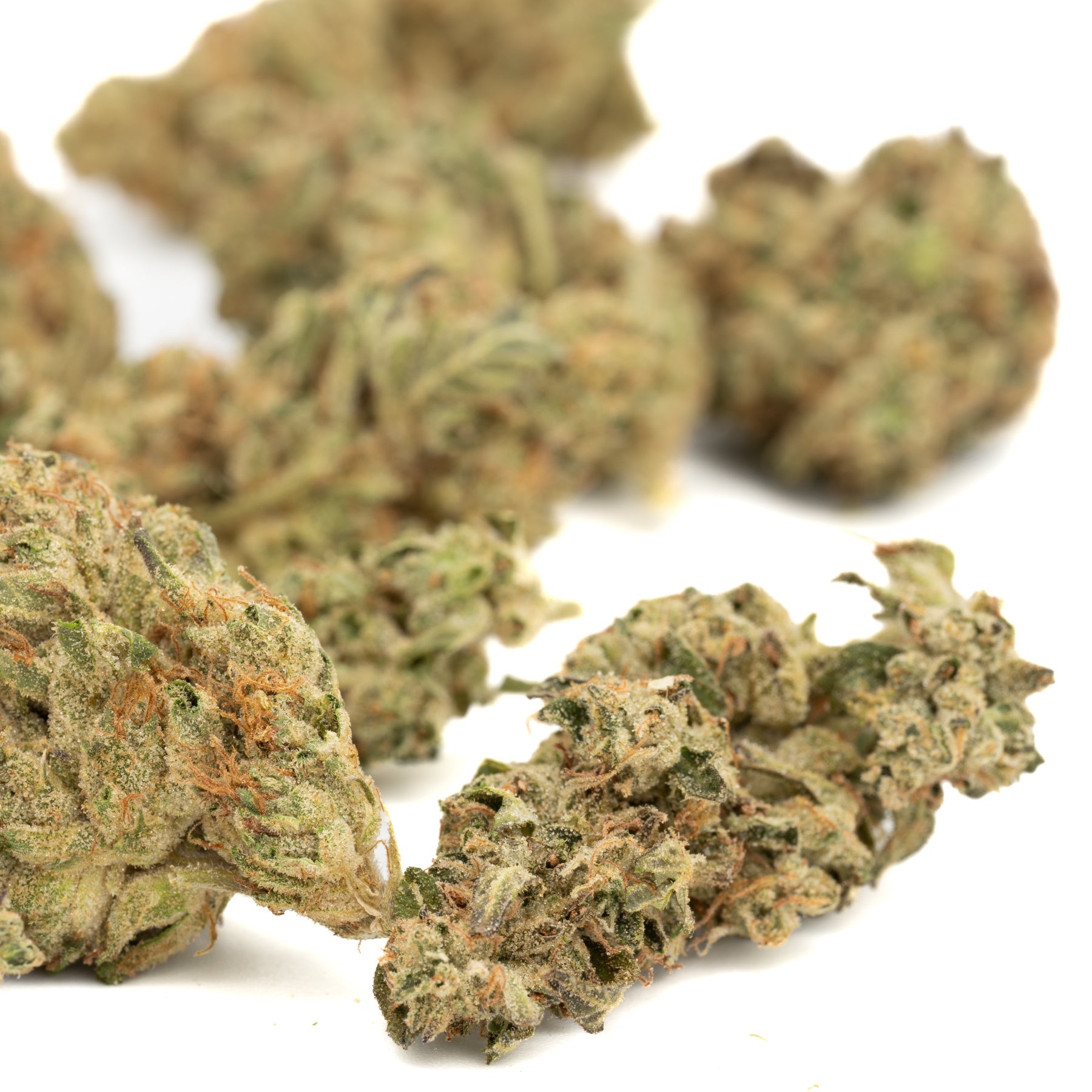 Duct Tape THCa Hemp Flower Greenhouse - Plants