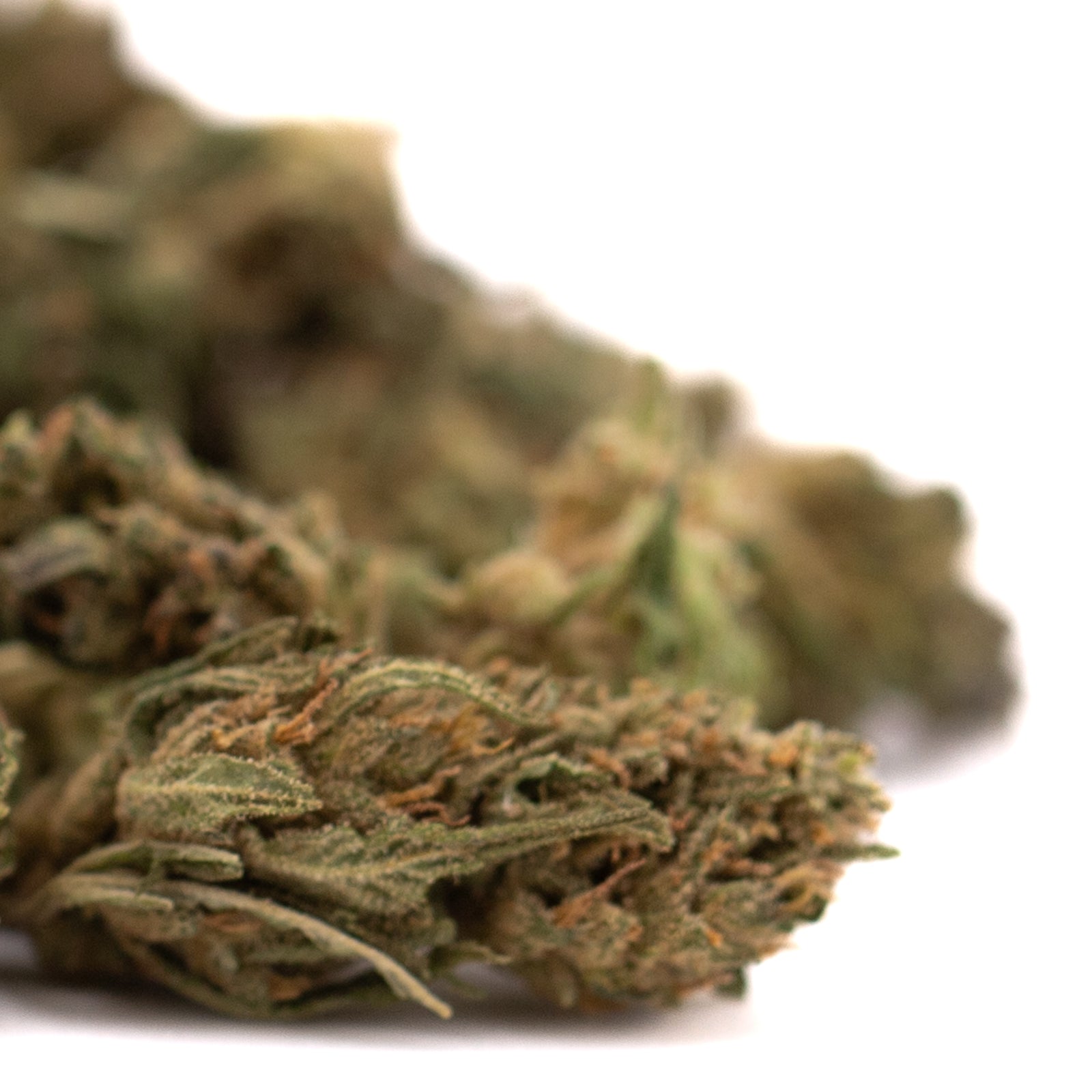 Dried CBD hemp flower with orange hairs in Early Blossom CBD Hemp Flower Smalls package