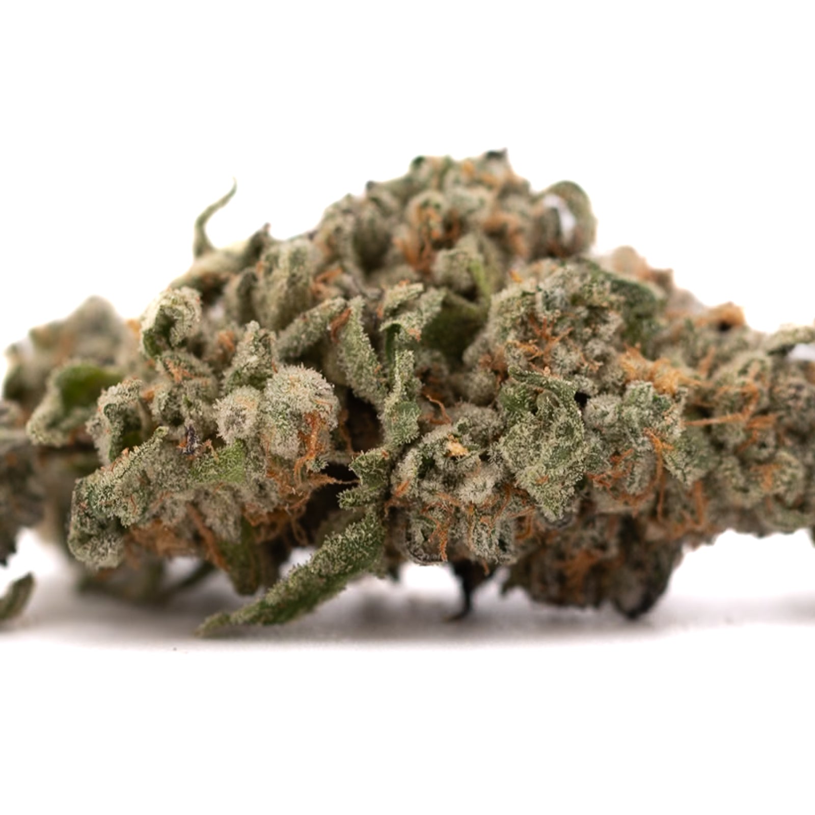 Dried cannabis bud with trichomes and orange pistils from Event Horizon THCa Flower featuring cosmic colors