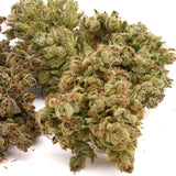 Face Gas THCa Hemp Flower Wholesale - Plants