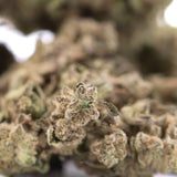 Fornicator THCa Hemp Flower Greenhouse