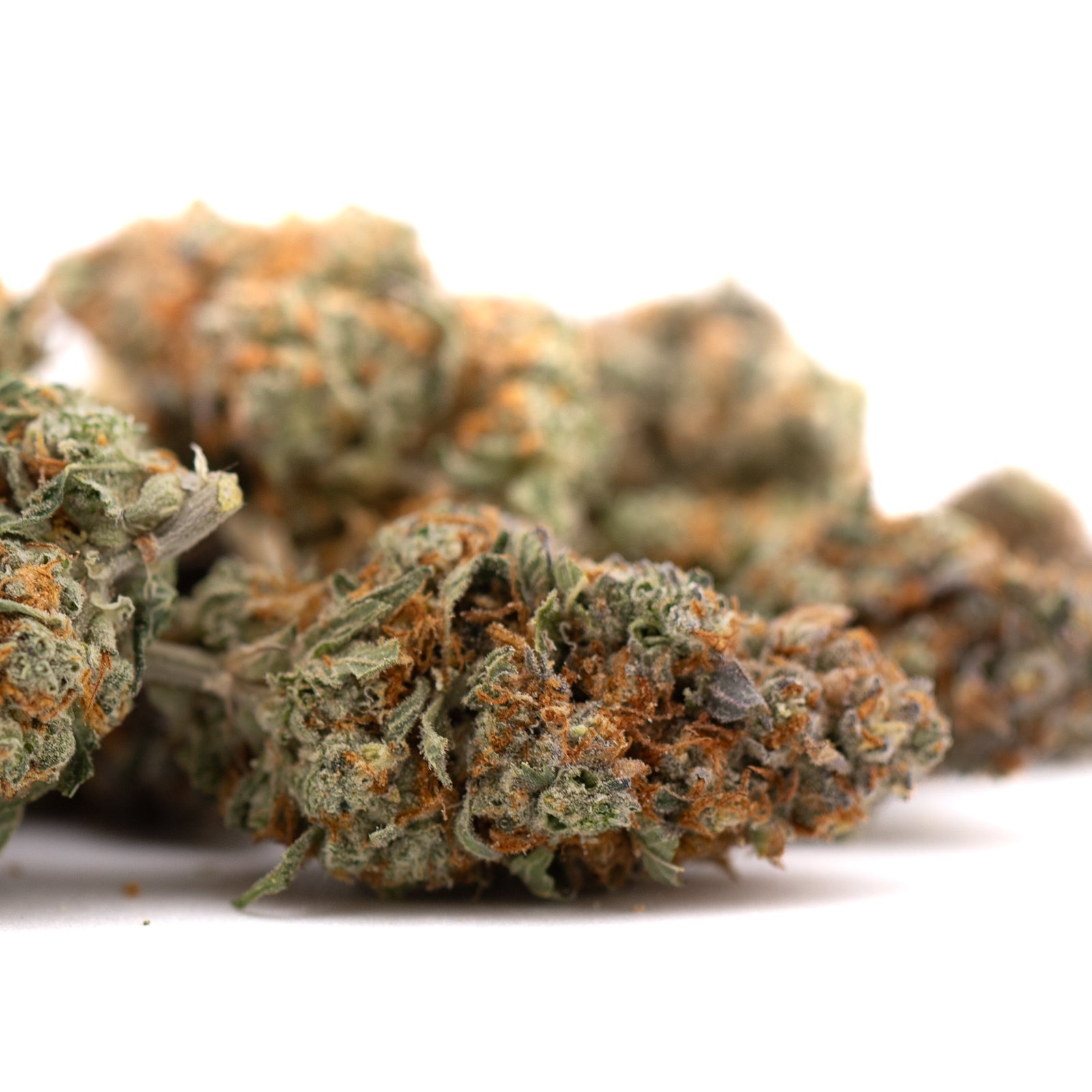 Frosted Flakes Indoor THCA Flower with orange hairs and light green leaves for therapeutic benefits