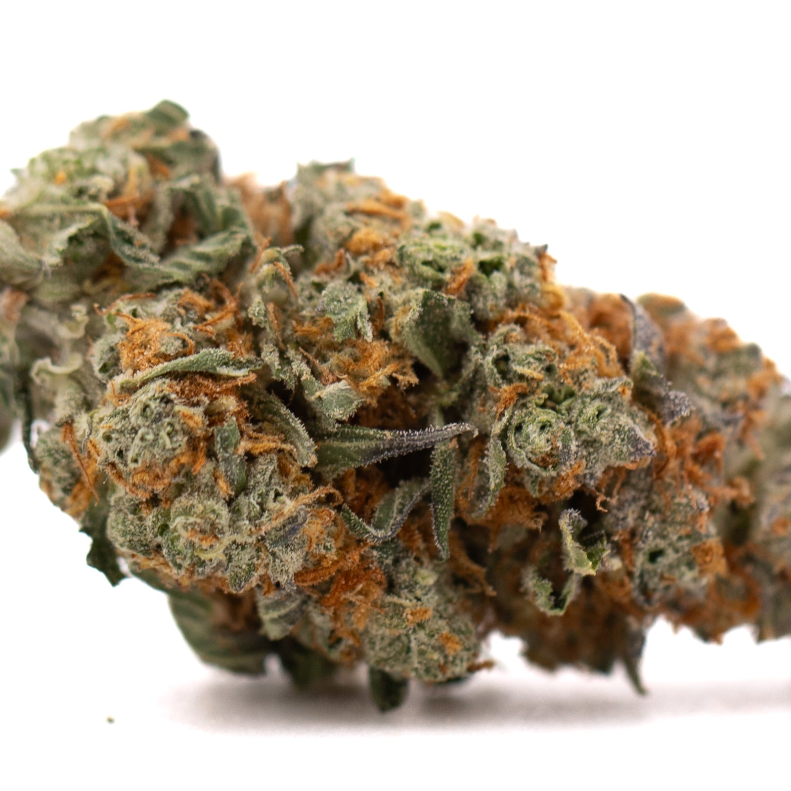 Frosted Flakes Indoor THCa Flower with vibrant orange pistils and frosty trichomes