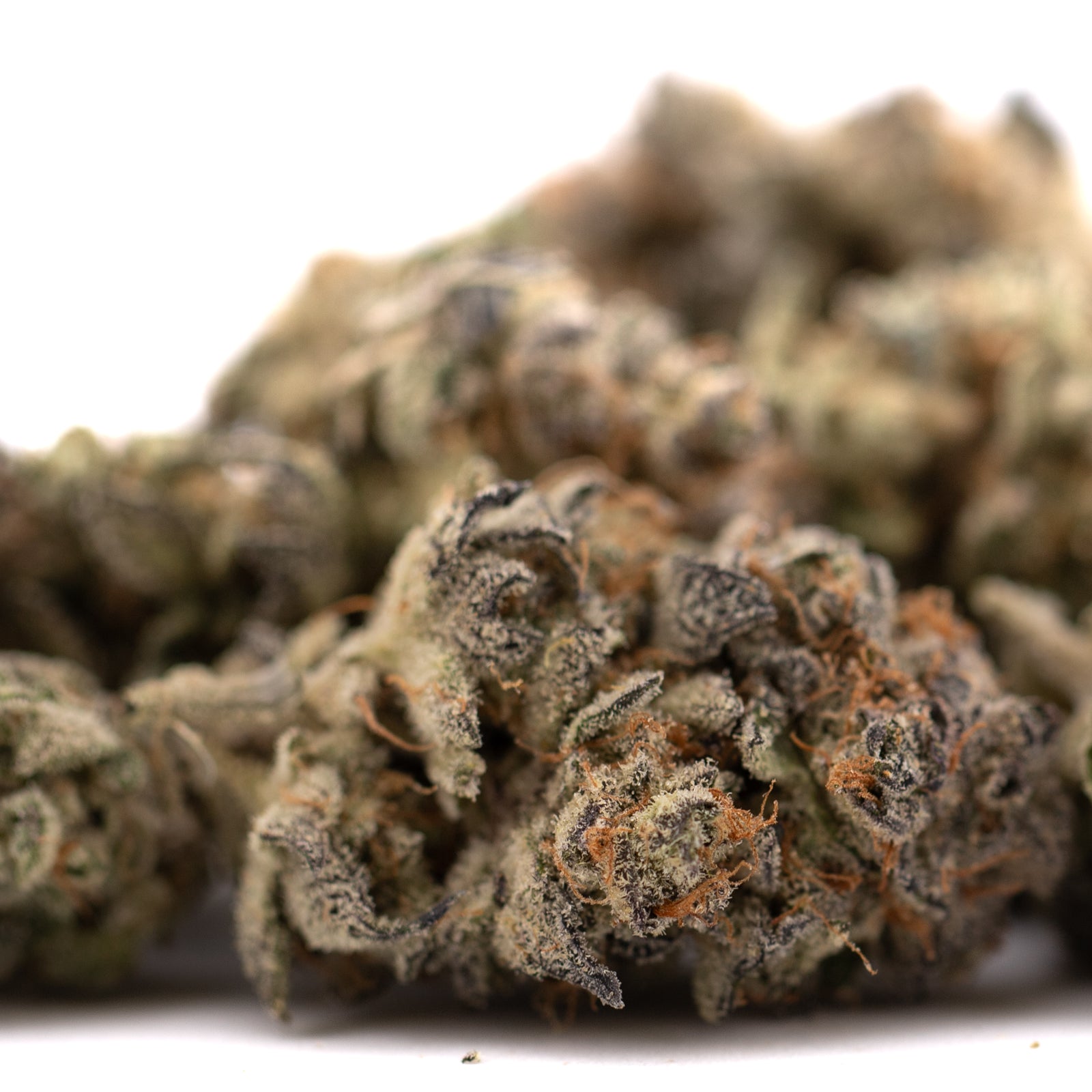 Garlic OG Indoor THCa Flower with dense trichome-covered cannabis bud and orange pistils